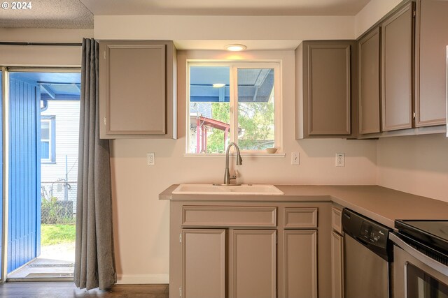 kitchen with stainless steel dishwasher, gray cabinets, dark hardwood / wood-style flooring, and sink