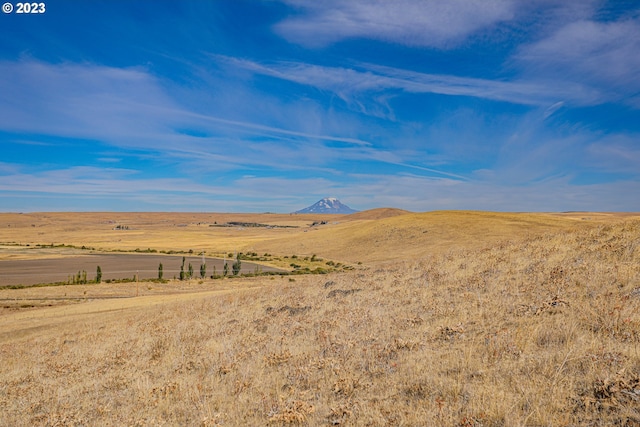 Listing photo 3 for 1602 Centerville Hwy, Centerville WA 98613