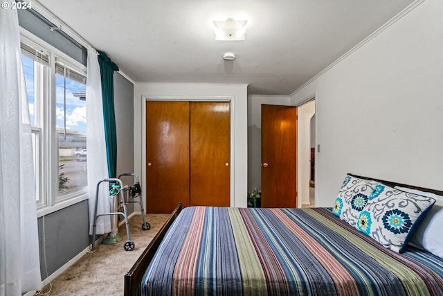 bedroom with ornamental molding, a closet, and carpet floors