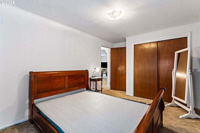 carpeted bedroom featuring a closet and ornamental molding