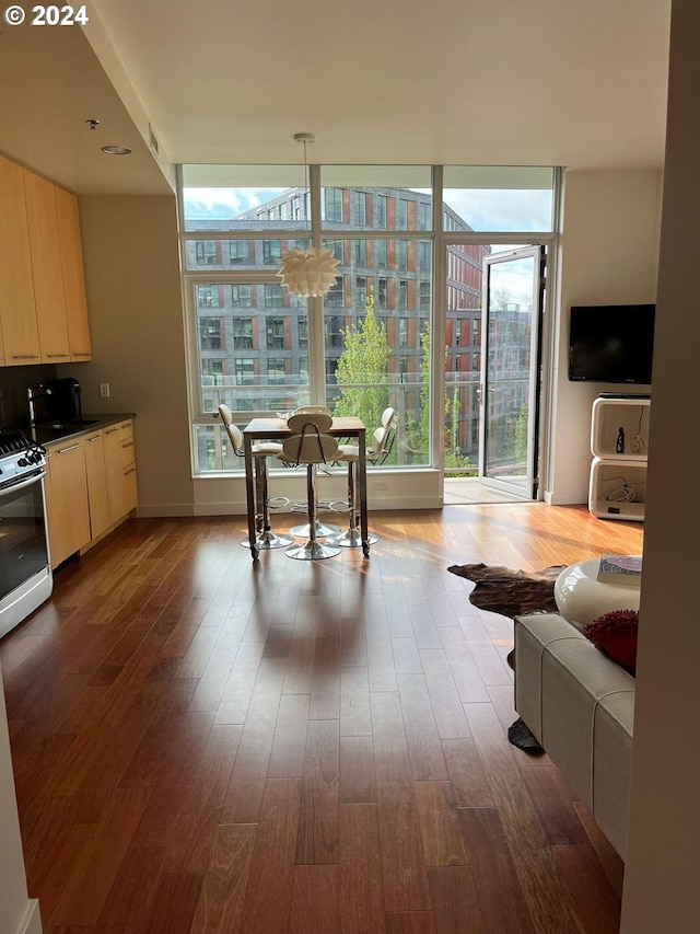 interior space with hardwood / wood-style flooring, plenty of natural light, and sink