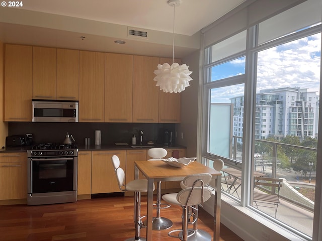 kitchen with appliances with stainless steel finishes, dark hardwood / wood-style flooring, and a healthy amount of sunlight