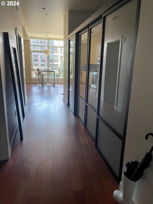 hall with dark hardwood / wood-style floors and floor to ceiling windows