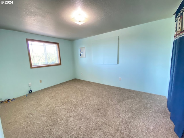 spare room with a textured ceiling and carpet flooring