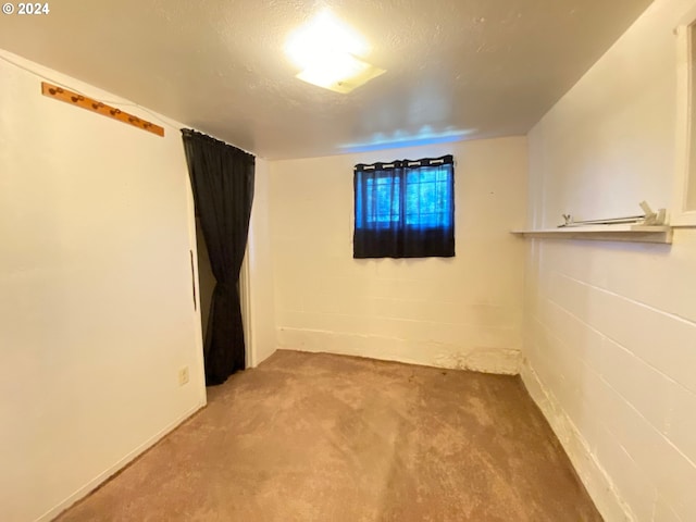 basement featuring a textured ceiling and carpet