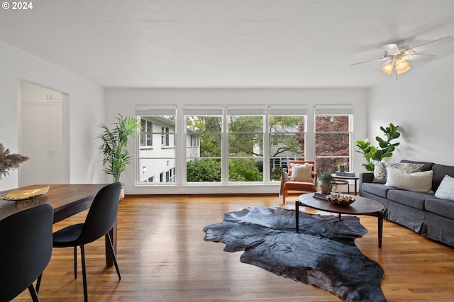 living room featuring ceiling fan, wood finished floors, and a healthy amount of sunlight