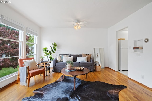 living room with ceiling fan and light wood-type flooring