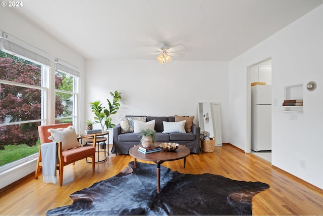 living room with a ceiling fan and light wood-style floors