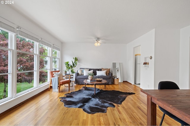 living room with a wealth of natural light, light hardwood / wood-style floors, and ceiling fan