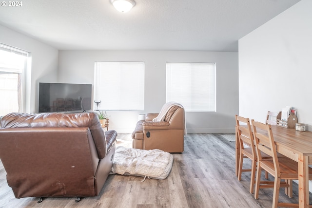 living room with light wood-type flooring