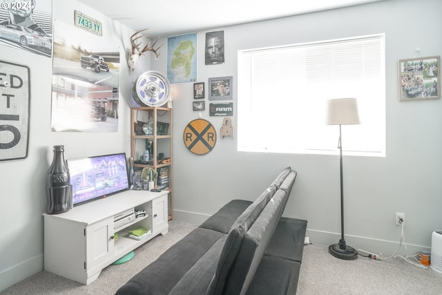 office area featuring light colored carpet