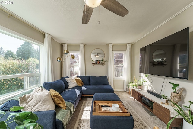 living room with a healthy amount of sunlight, carpet floors, a textured ceiling, and ornamental molding