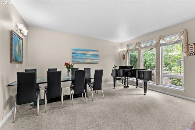 5898 SE Thornapple St, Hillsboro, OR 97123 - dining area featuring baseboards, carpet flooring, and a textured ceiling