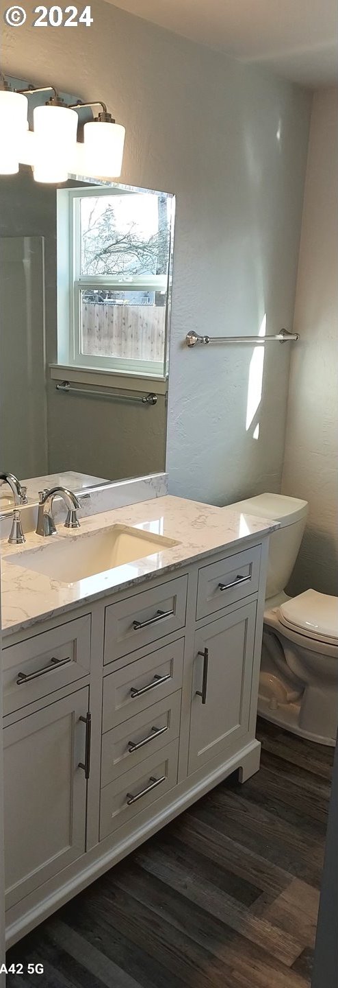 bathroom featuring vanity, wood-type flooring, and toilet