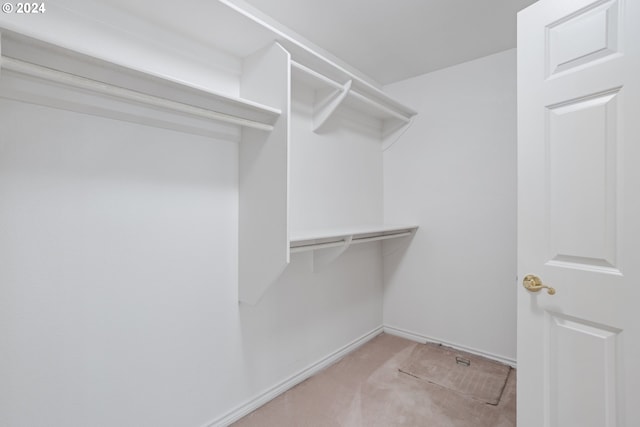 spacious closet with light colored carpet