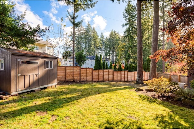 view of yard with a shed