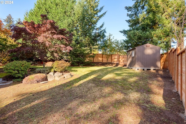 view of yard featuring a shed