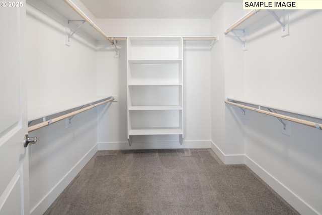 walk in closet with carpet