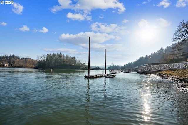 view of water feature with a boat dock