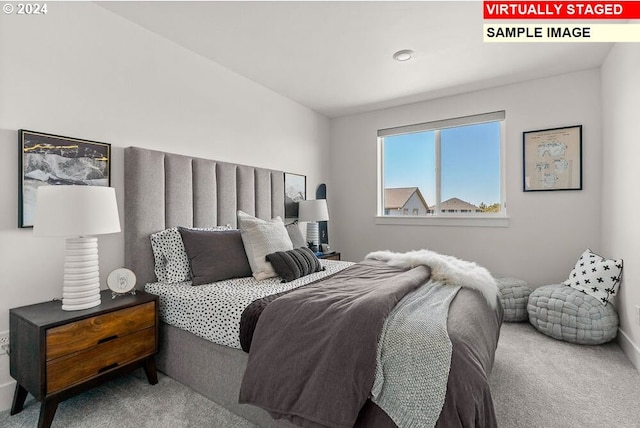 bedroom with carpet floors