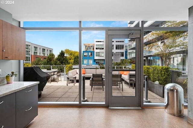 entryway with plenty of natural light