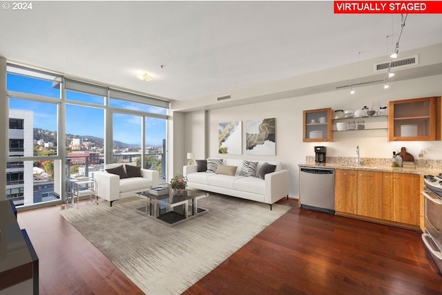 living room with sink, dark wood-type flooring, and floor to ceiling windows