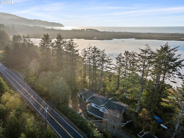 drone / aerial view with a water view