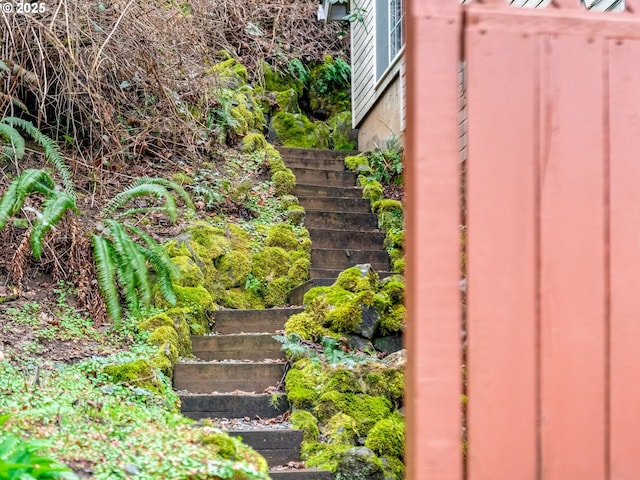 4196 SE Pinehurst Ave, Milwaukie, OR 97267 - view of yard with stairs