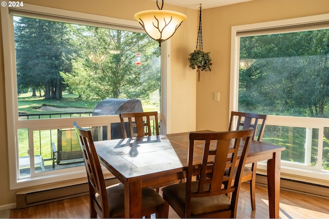 dining area with hardwood / wood-style floors and a baseboard radiator