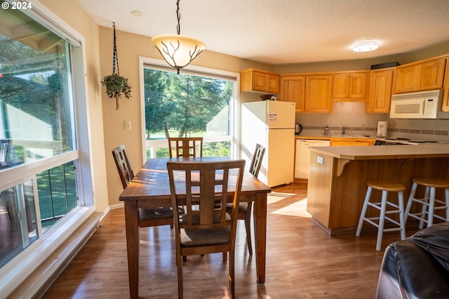 dining area with sink, a textured ceiling, plenty of natural light, and light hardwood / wood-style flooring