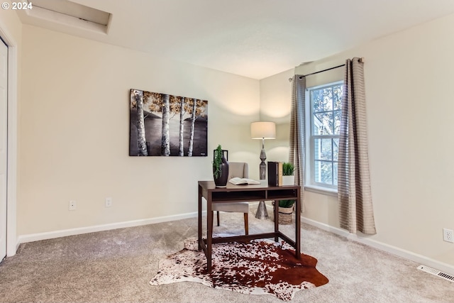 office area featuring carpet floors