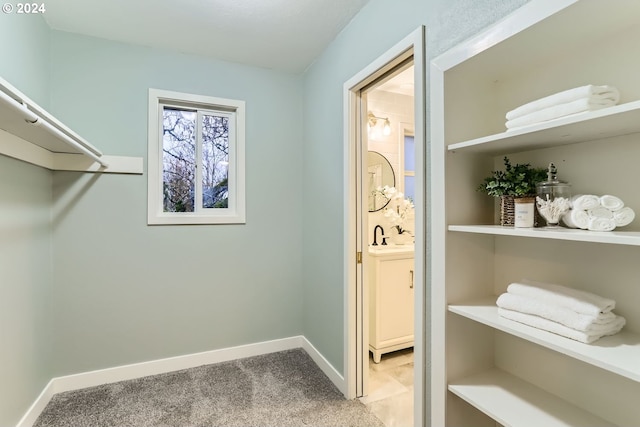 walk in closet featuring carpet floors and sink