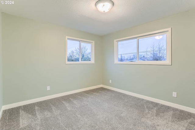 empty room with carpet flooring and a textured ceiling