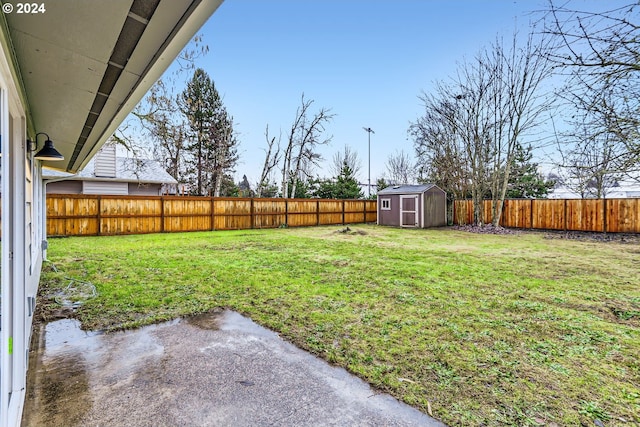 view of yard featuring a storage unit