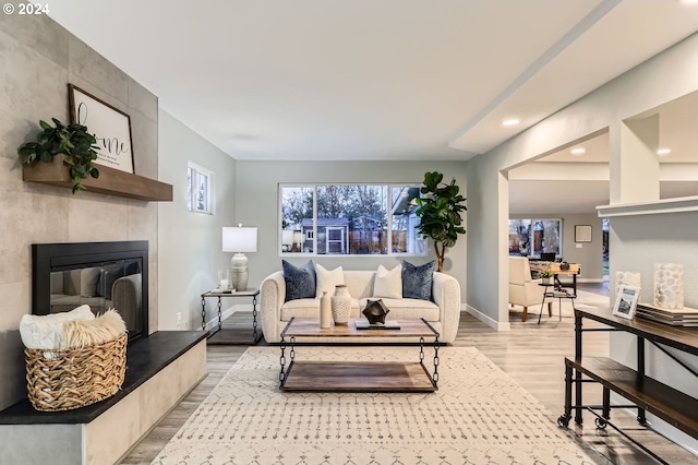 living room featuring a fireplace and light wood-type flooring