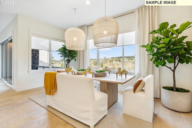 dining area with light hardwood / wood-style floors and a wealth of natural light