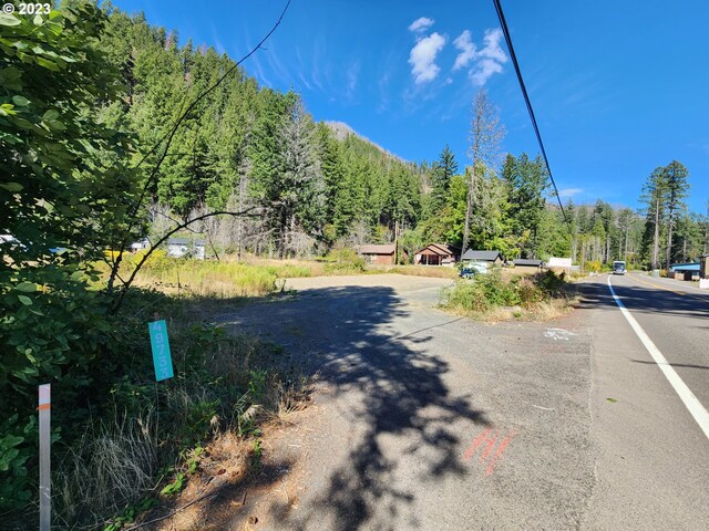 49733 Mckenzie Hwy, Vida, OR 97488
