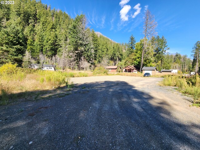 49733 Mckenzie Hwy, Vida, OR 97488