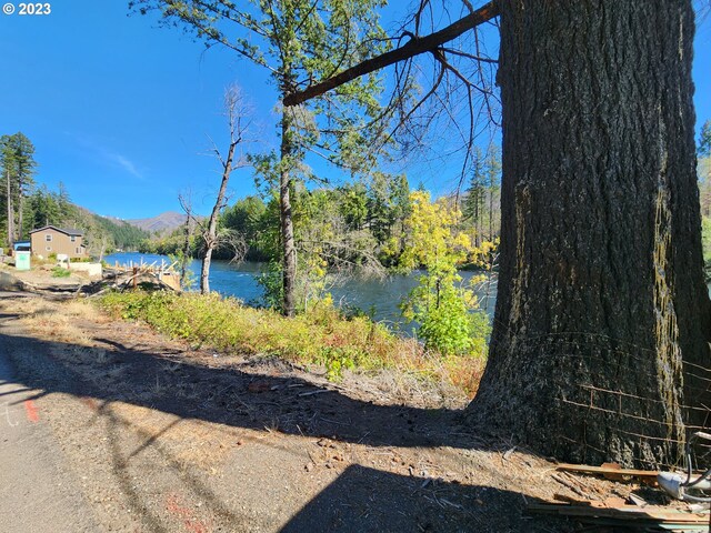 49733 Mckenzie Hwy, Vida, OR 97488