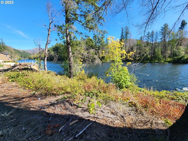 49733 Mckenzie Hwy, Vida, OR 97488
