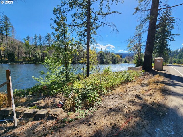 49733 Mckenzie Hwy, Vida, OR 97488