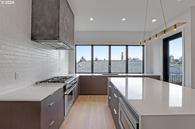 kitchen featuring plenty of natural light, light hardwood / wood-style floors, sink, and stainless steel appliances