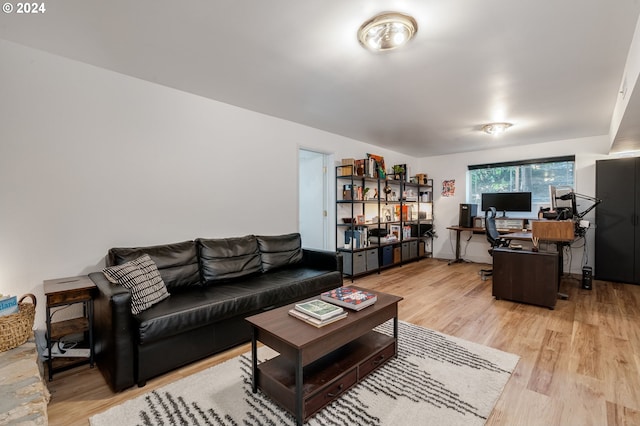 living room featuring light hardwood / wood-style flooring