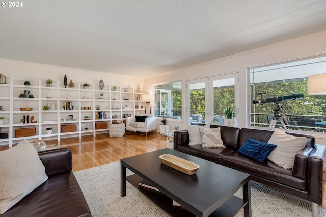 living room with hardwood / wood-style flooring and french doors