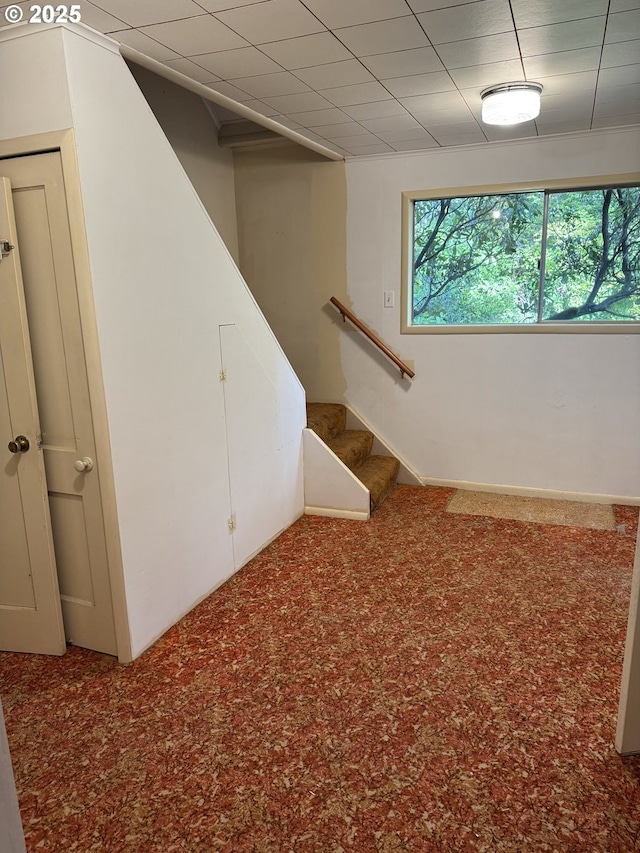 basement featuring carpet