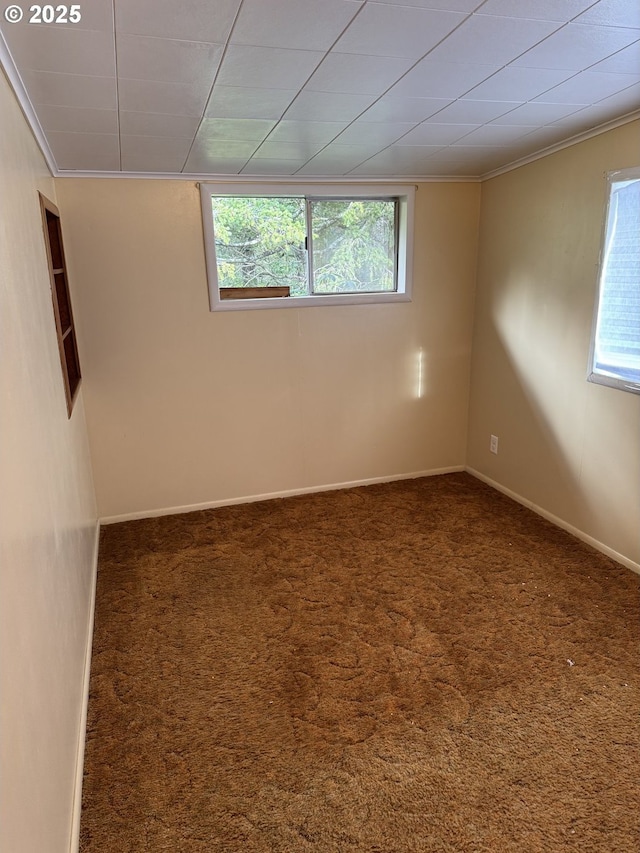 carpeted spare room featuring ornamental molding