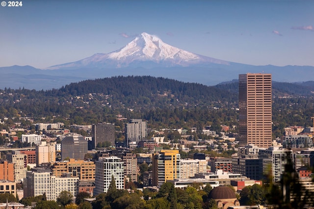 2868 NW Cumberland Rd, Portland, OR 97210 - city view with a mountainous background and a forest