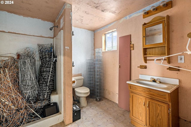 bathroom featuring walk in shower, vanity, and toilet