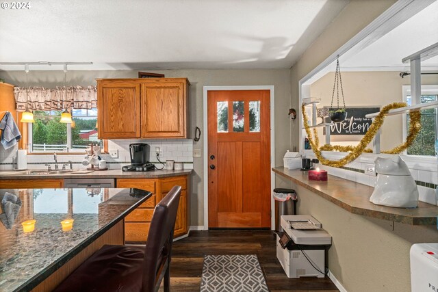 kitchen featuring dark wood-type flooring, sink, and backsplash