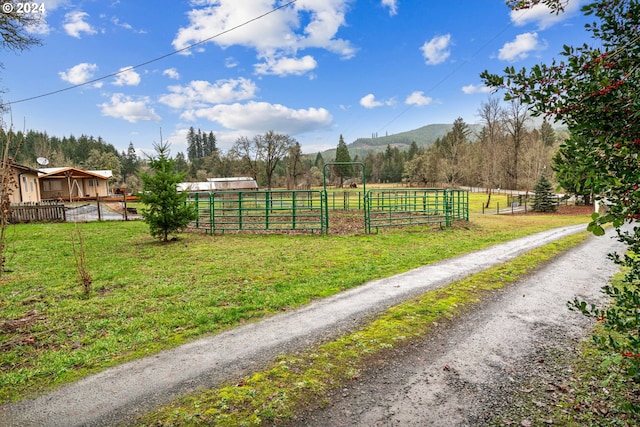 view of yard featuring a mountain view and a rural view